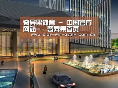 案例展示二(图1)
